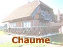 Maison bois en chaume 